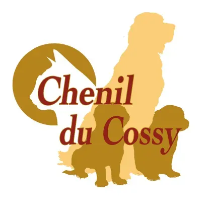 LOGO  -1