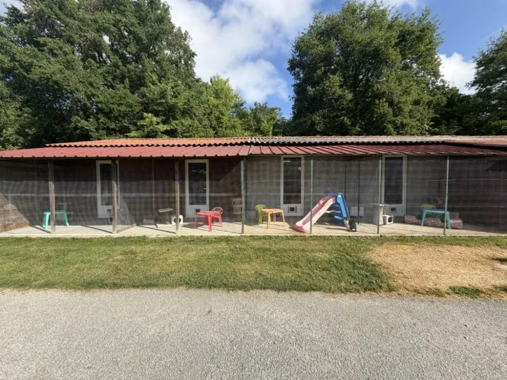 les exterieurs du chenil (1)