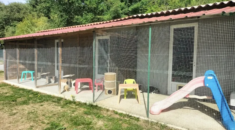 parc pour chat 2