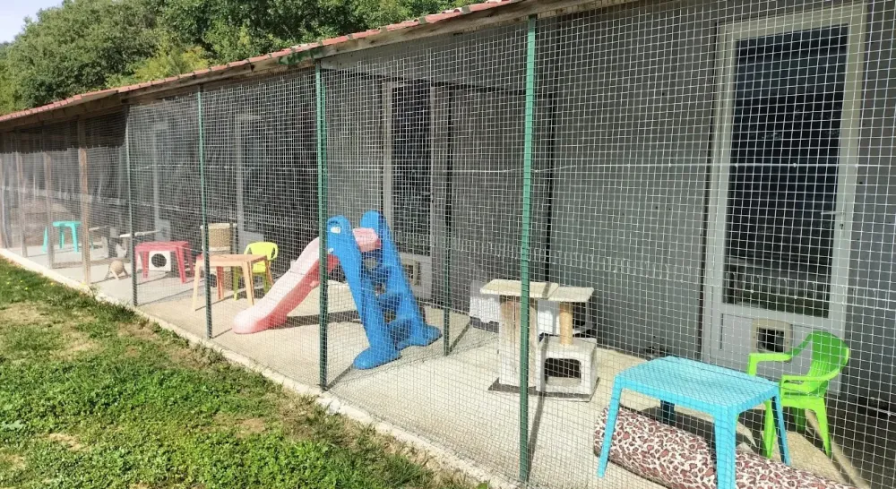 Parc pour chat